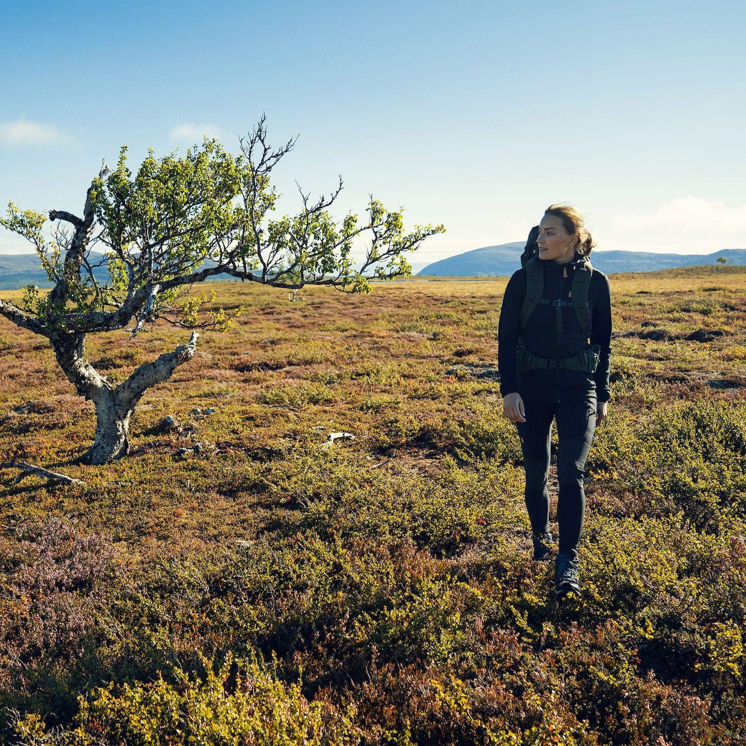 Abisko Trekking Tights W - Image 9
